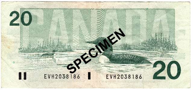 fullMatchVisibleBonin-Thiessen EVH without Back PNVF #1N/A