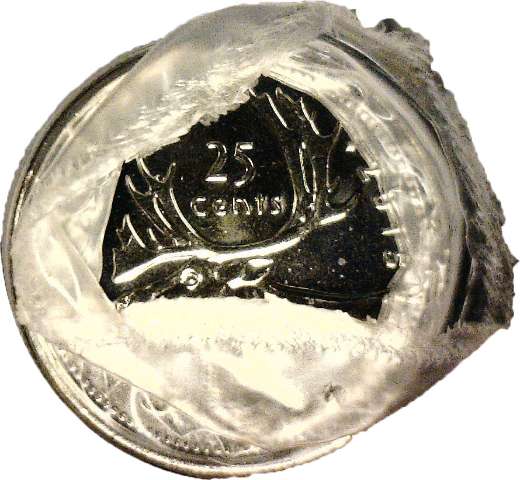 fullMatchVisible2015 Caribou25 cents